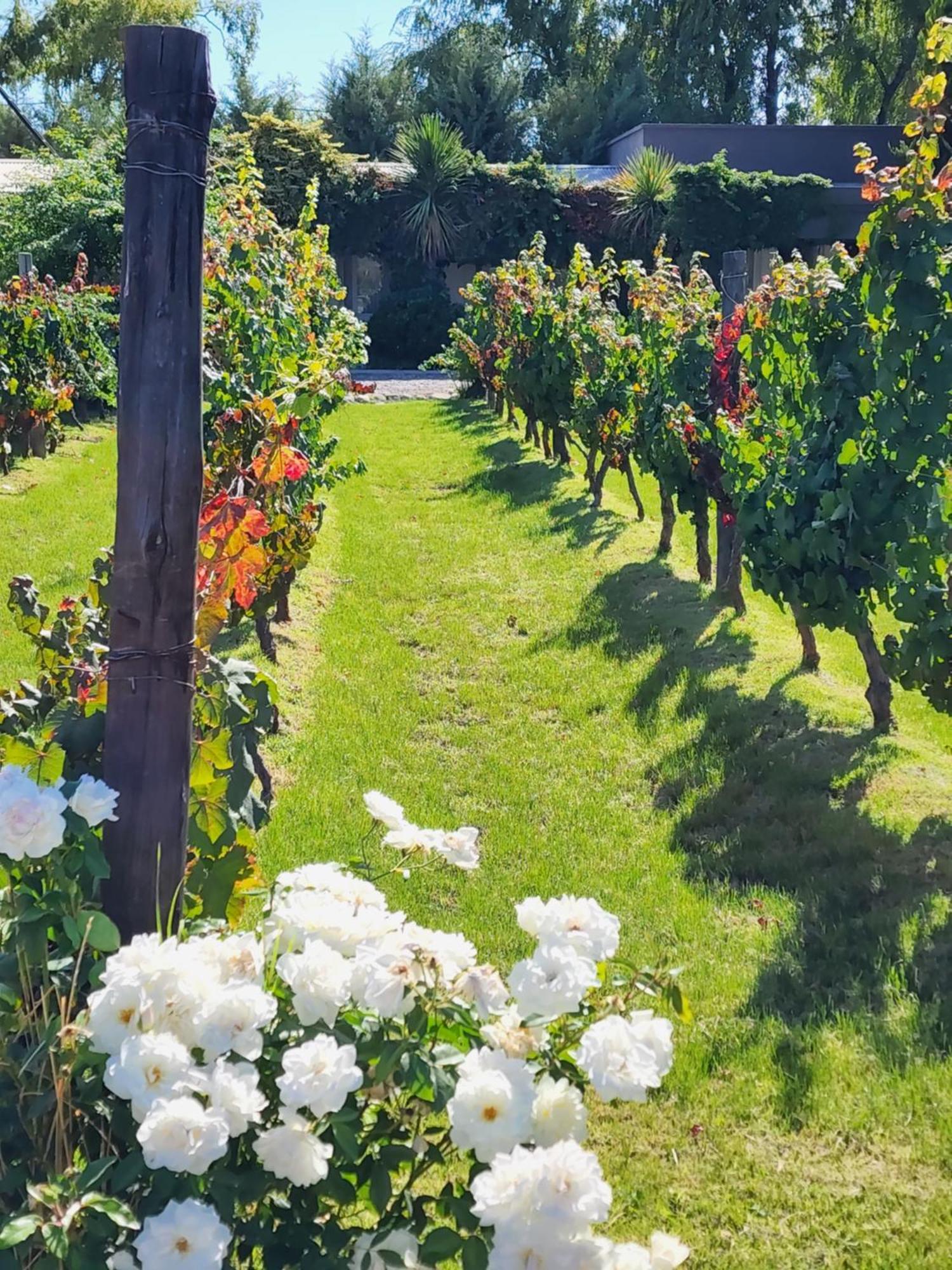 ホテル Finca La Puebla La Consulta エクステリア 写真