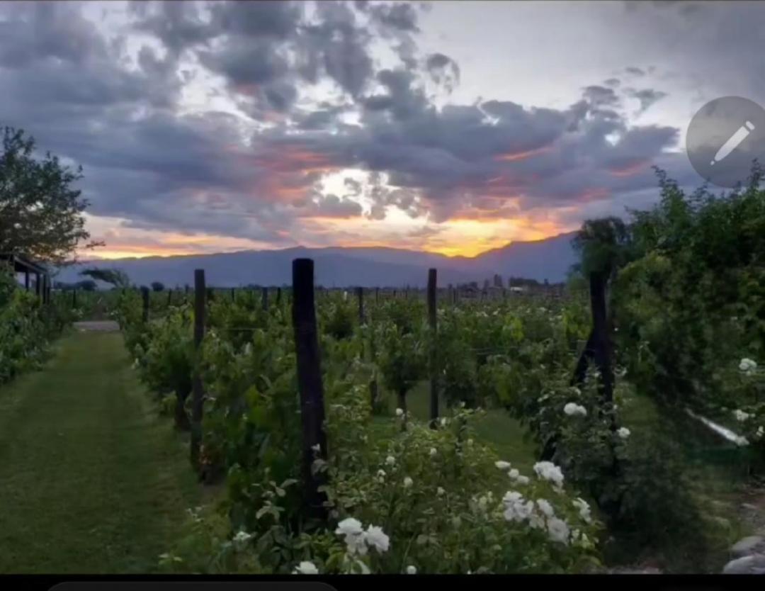 ホテル Finca La Puebla La Consulta エクステリア 写真