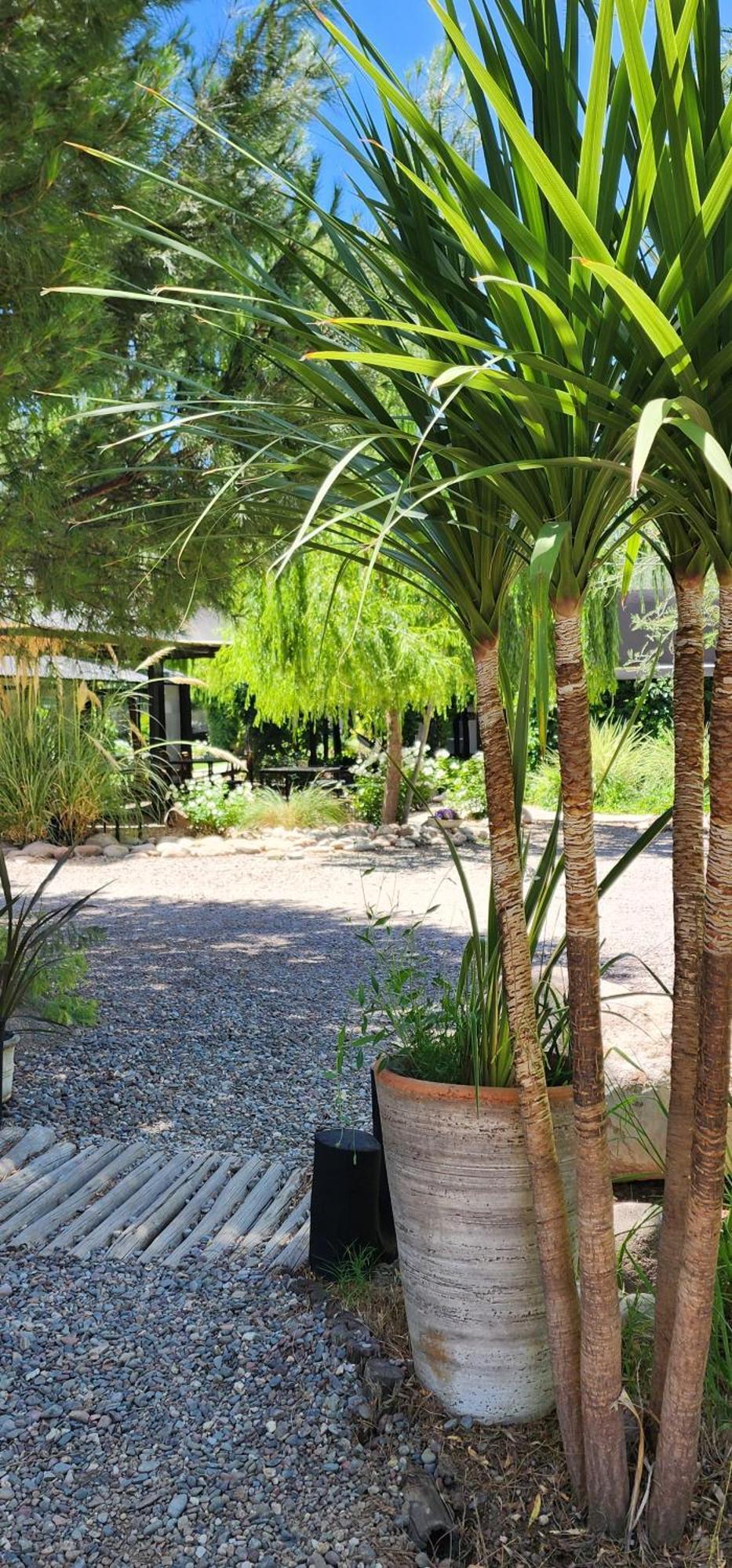 ホテル Finca La Puebla La Consulta エクステリア 写真