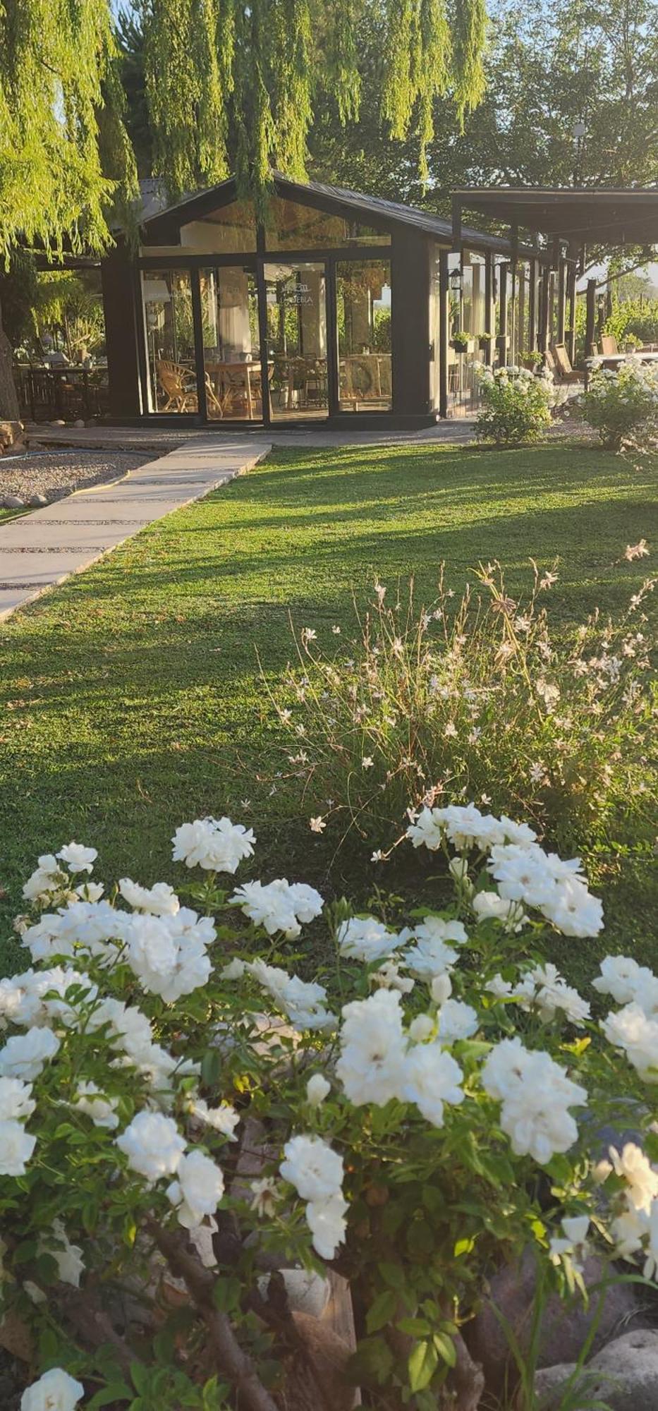 ホテル Finca La Puebla La Consulta エクステリア 写真