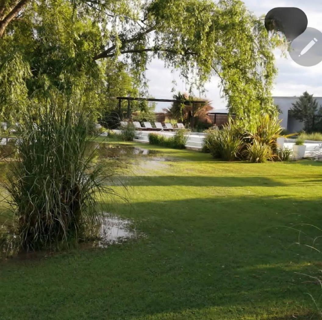 ホテル Finca La Puebla La Consulta エクステリア 写真