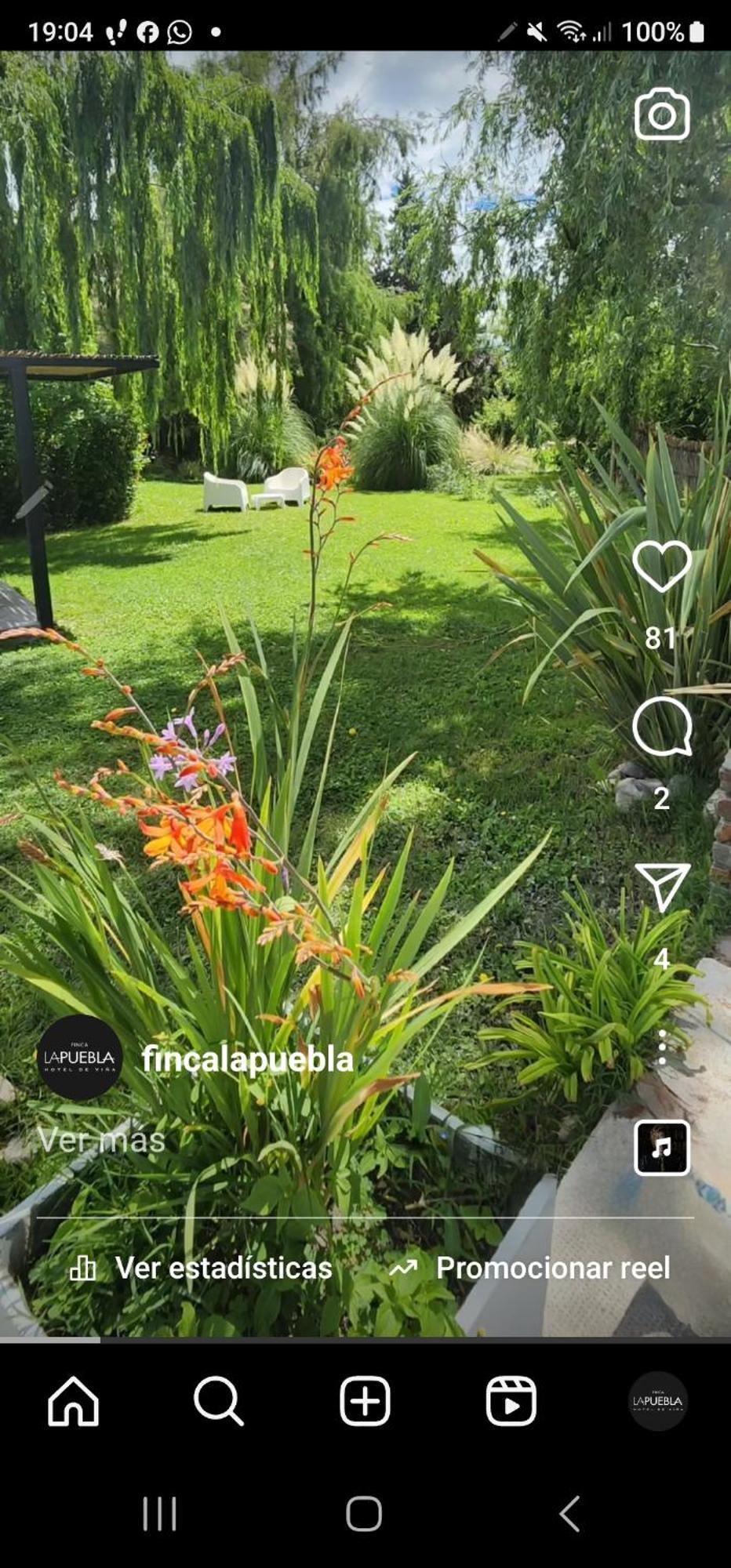 ホテル Finca La Puebla La Consulta エクステリア 写真