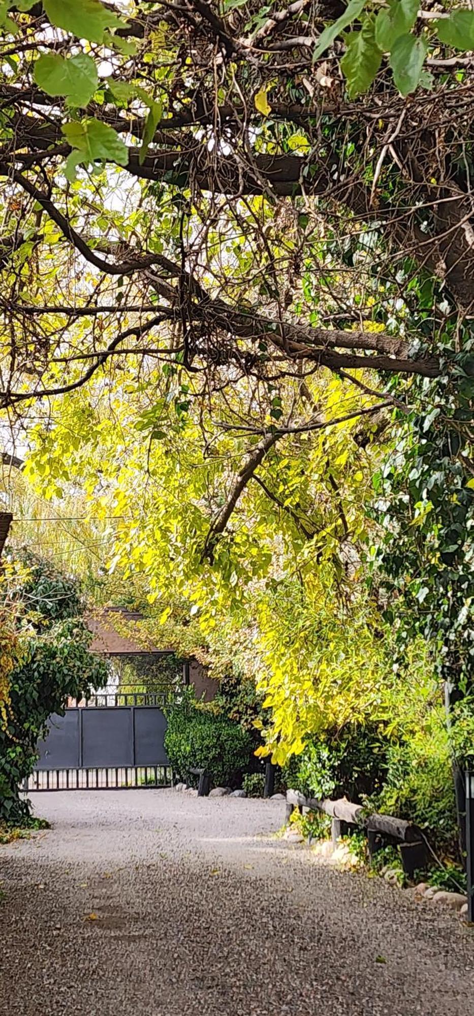 ホテル Finca La Puebla La Consulta エクステリア 写真