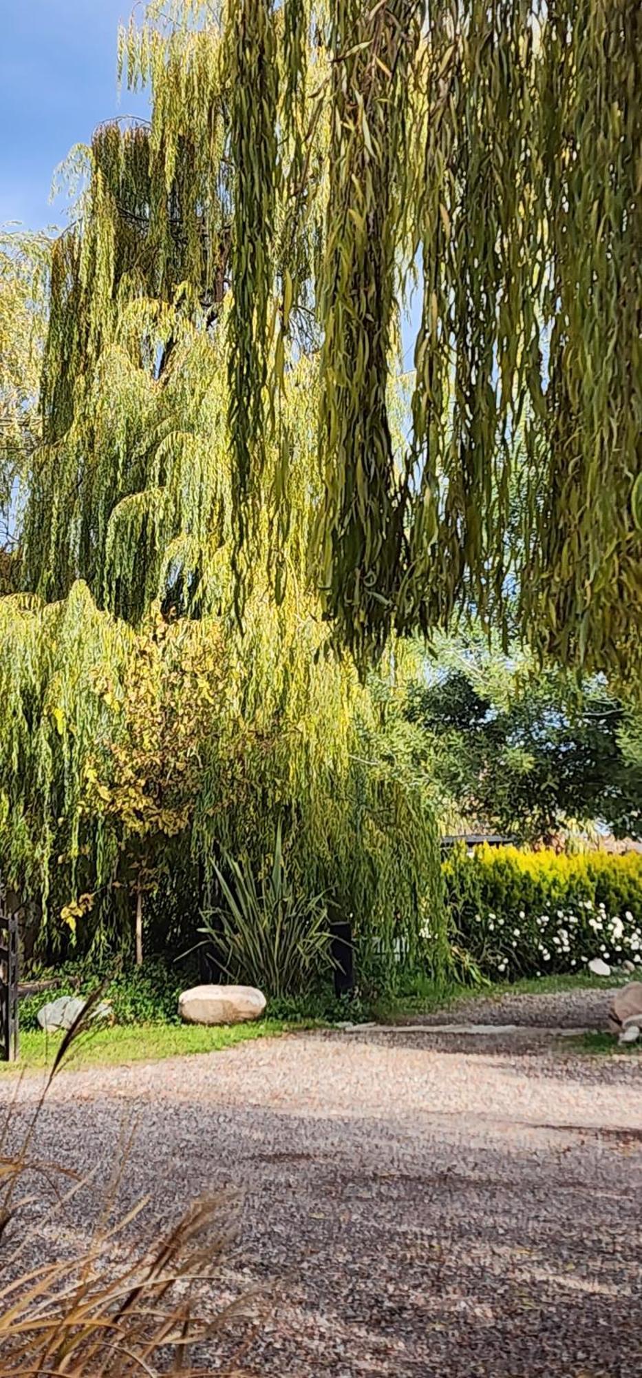 ホテル Finca La Puebla La Consulta エクステリア 写真