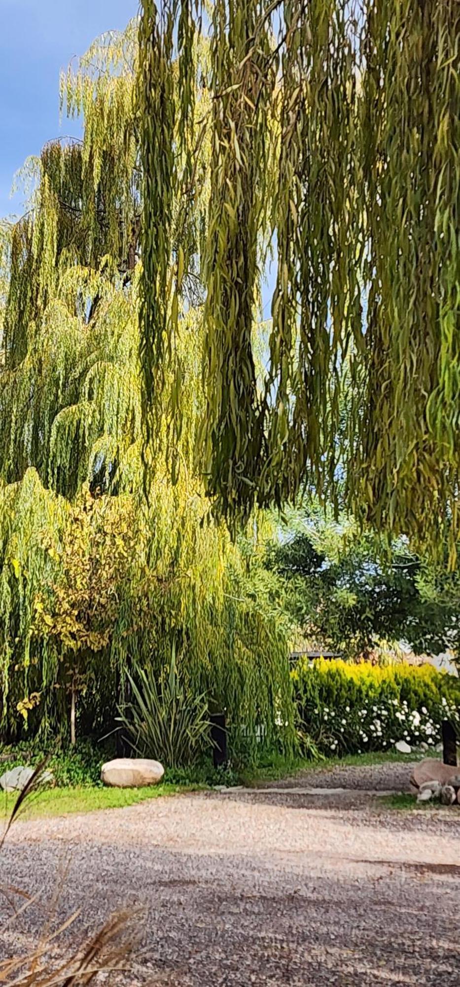 ホテル Finca La Puebla La Consulta 部屋 写真